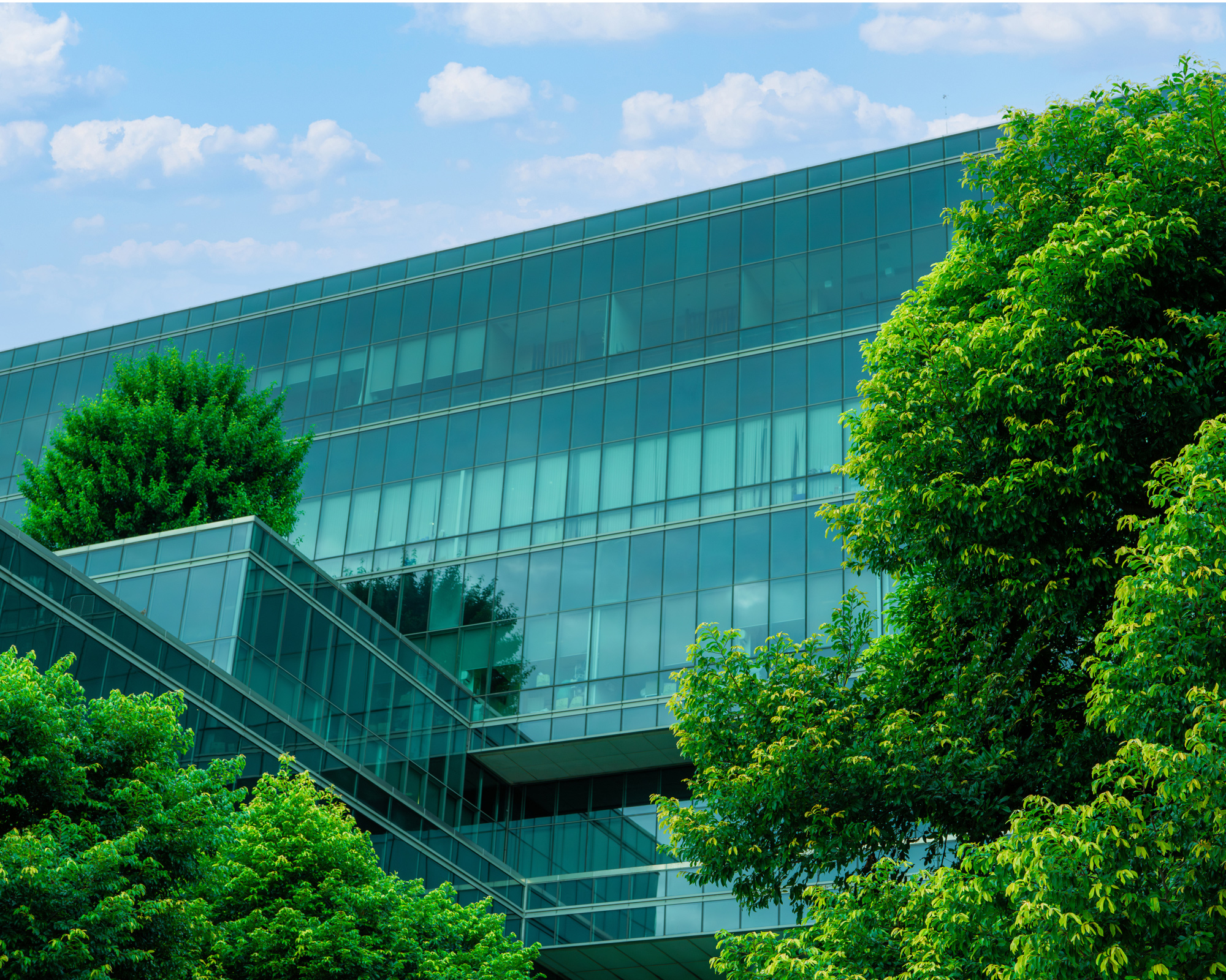 digital-supplier-sustainability-hero-banner.jpg