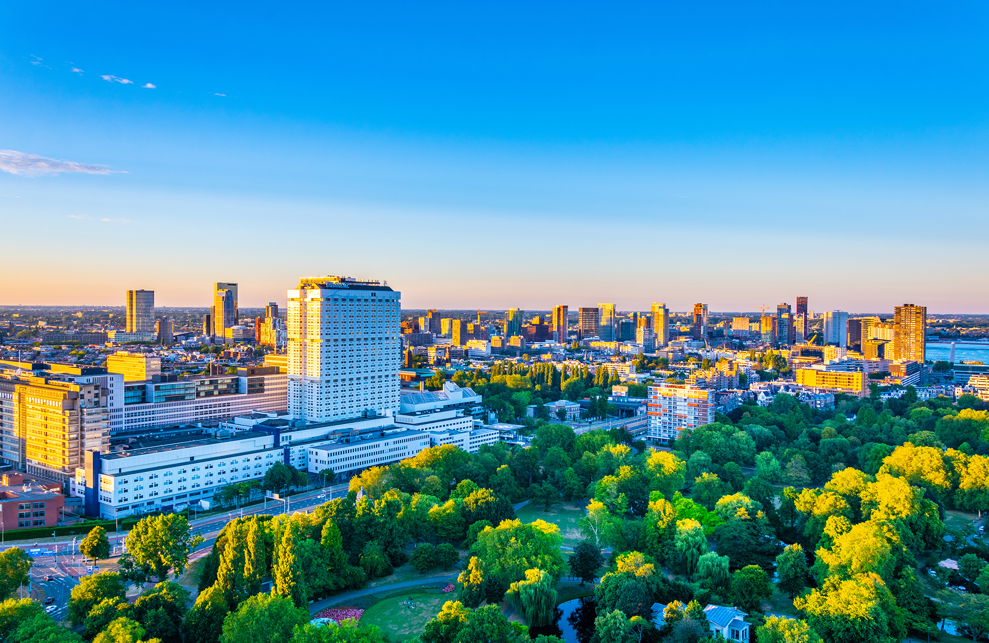 esg-services-banner-3.jpg
