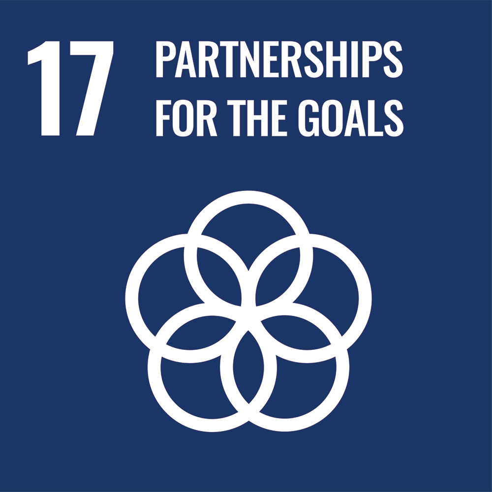 sdg-17.png