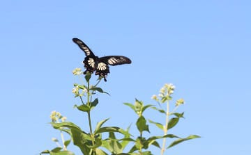 life-project-5.jpg