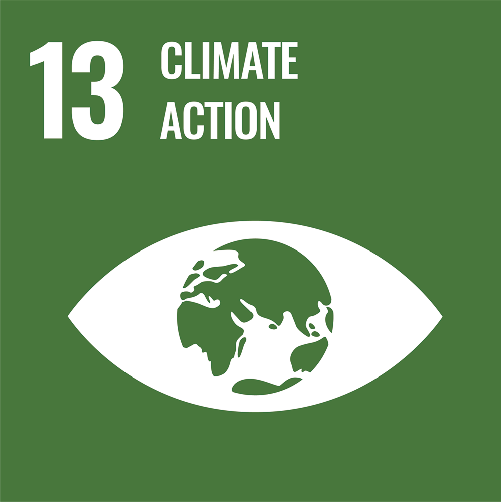 sdg-13.png