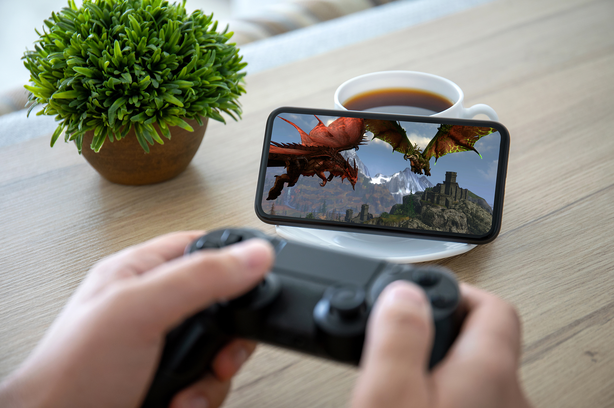 game-testing-c-4.jpg